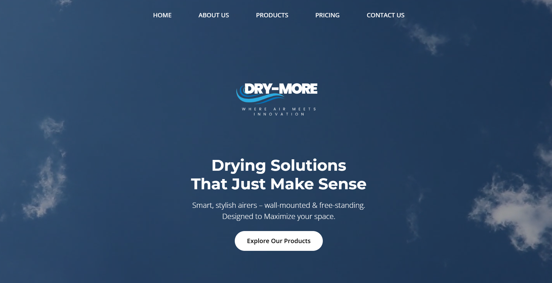 Dry-More Website